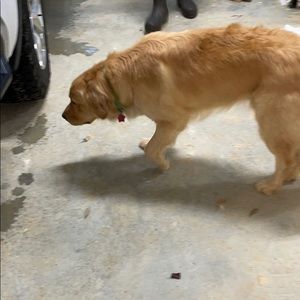 Meet your Posher, Traci